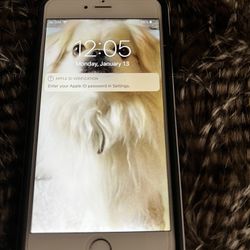 iPhone 6 Plus Unlocked Works Great