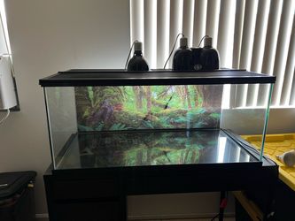 40 gallon tank