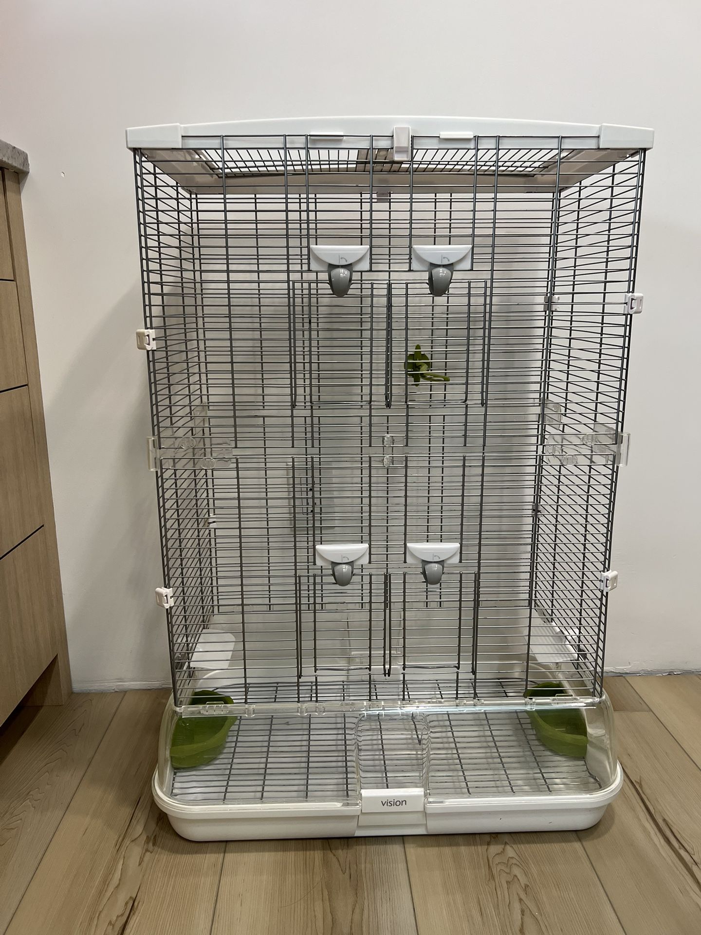 Bird Cage