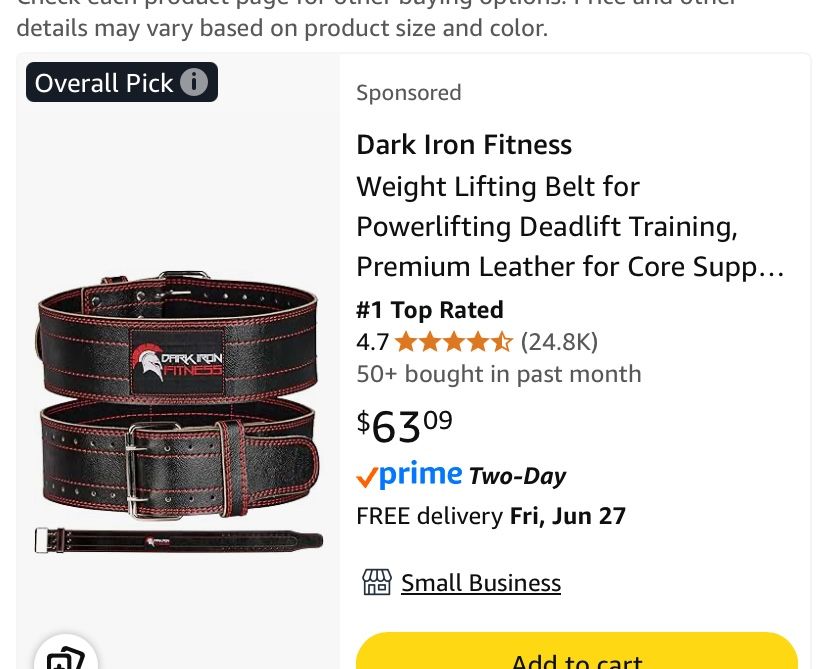 Weight Lifting Belt
