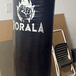 Punching Bag With Stand 
