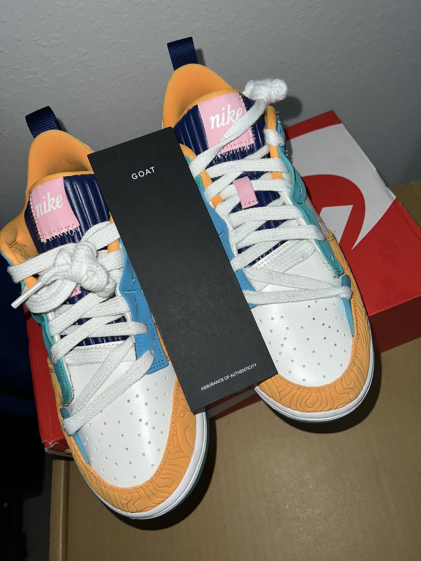 Nike Dunk Disrupt