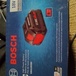 CORE Bosch Battery 