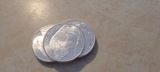 1 oz silver  Buffalo rounds