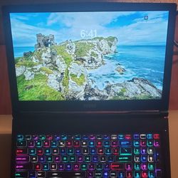  Gaming Laptop MSI GE63 Raider RGB 8SF 