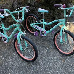 Schwinn Bikes 20”