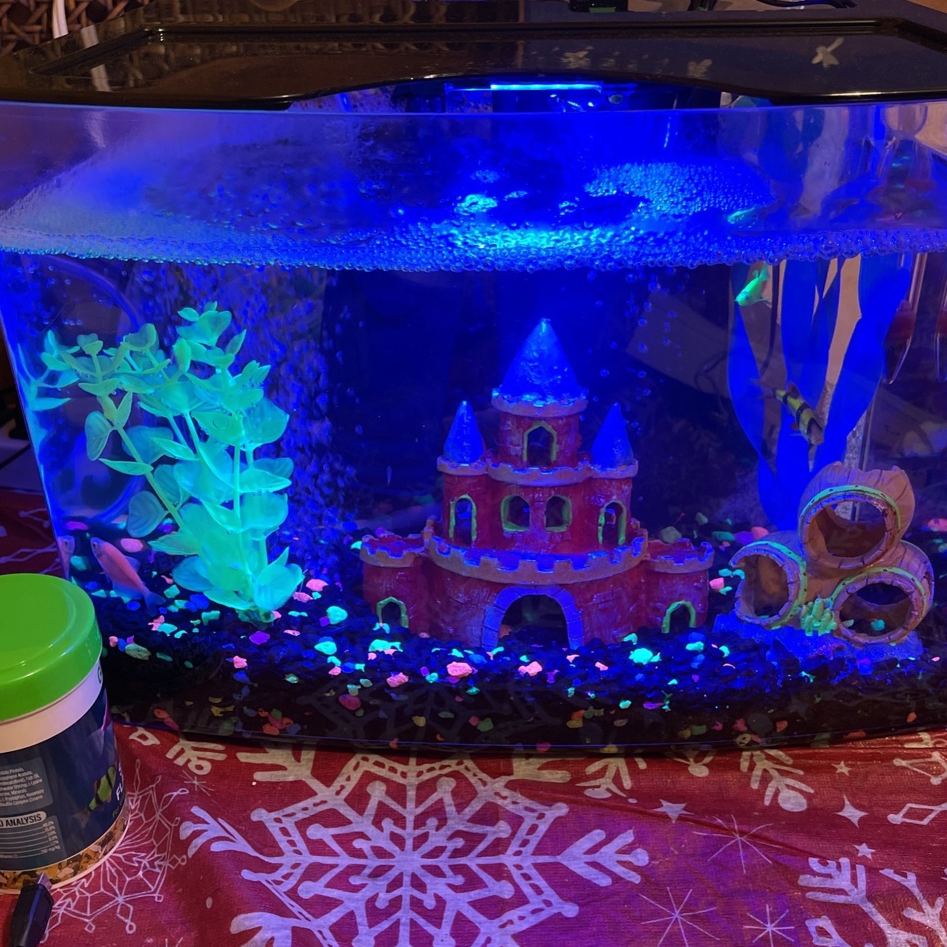 Fish Tank And Kit