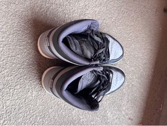 Air Jordan 1 Shadow High OG