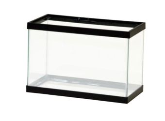 20 gallon tank
