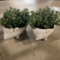 Hedgehog Plants with Faux Greenery (Set of 4)