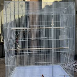 Large White Bird Cage