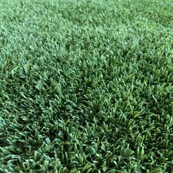 Artificial Turf Grass-$2