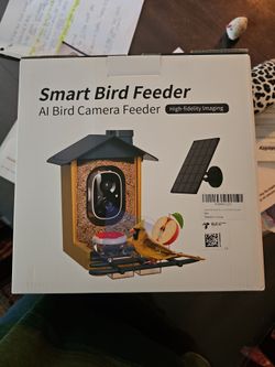 Camera bird feeder