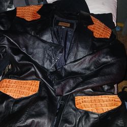 Los Altos .. alligator