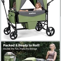 Stroller Wagon By Mom Fann