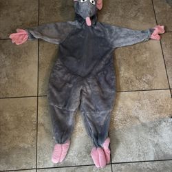 Ratatouille Halloween Costume 