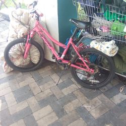 Girls Bike