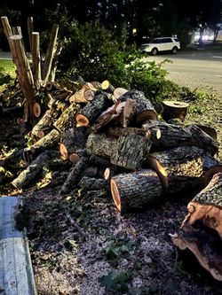 Free Wood
