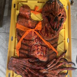 Halloween Costume 