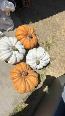 Fall, Halloween pumpkins