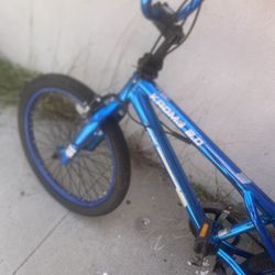 Boy Bicycle 