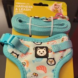 New Cat Harness And Leash 