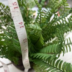 Planta Artificial.  B...nd Outdoor Decor (Standard) New
