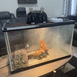 Snake/reptile Enclosure Full Setup