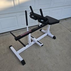 Weights Loaded Calf Raise Machine 
