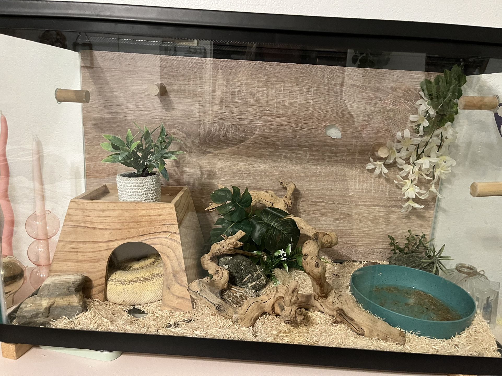 Aquarium 30”x 13”x 19”