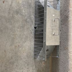 Animal Trap