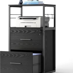 2 Drawer Locking Lateral File Cabinet Printer Stand Combo