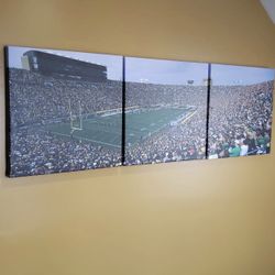 Notre Dame Stadium Wall Canvas 