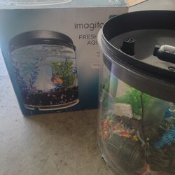 Aquarium Tank