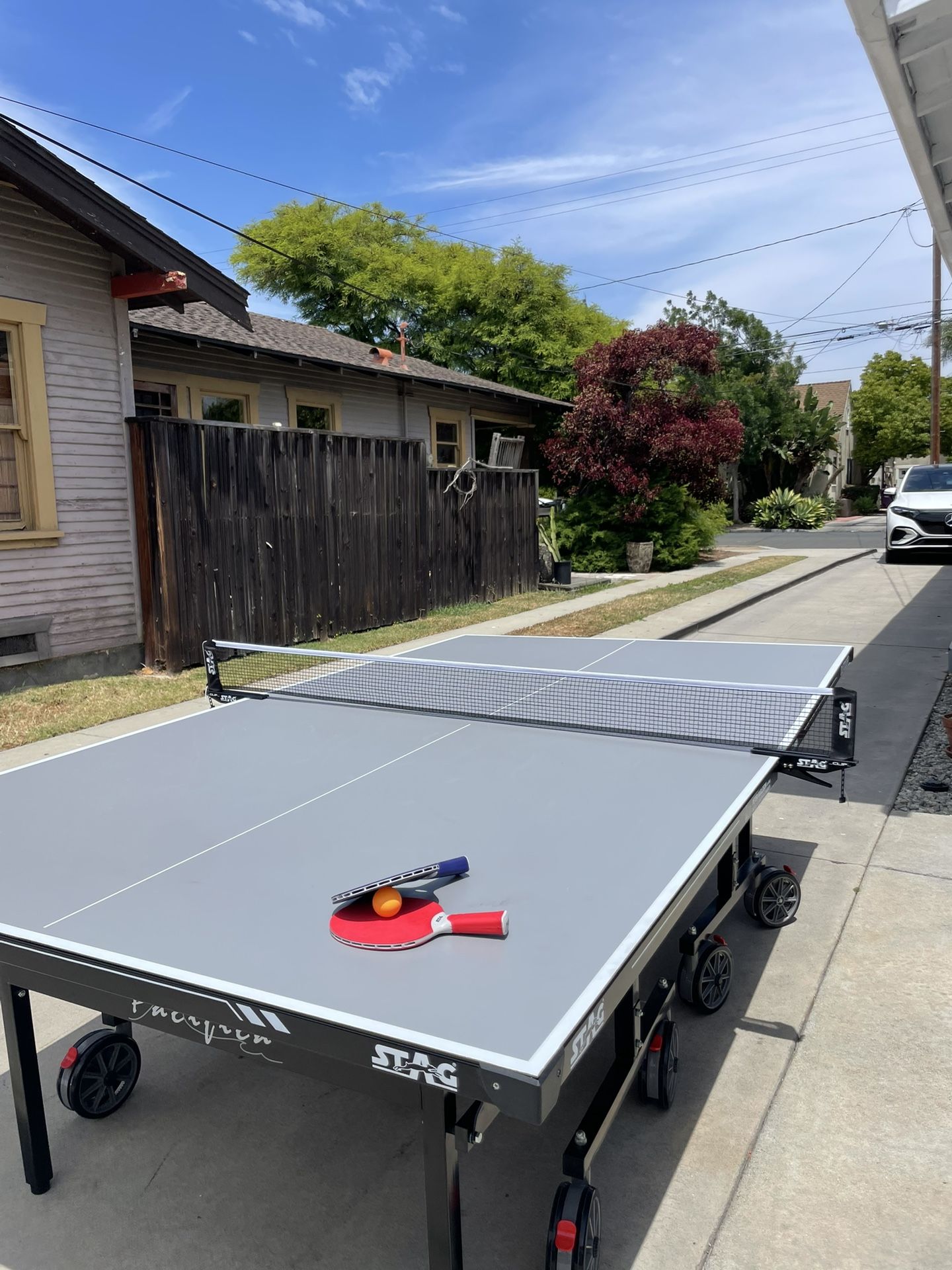 Professional ping pong Set