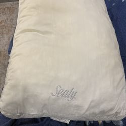 Comfortable Sealy pillow, free