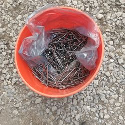 Nails Duplex 16 D 50 Lbs