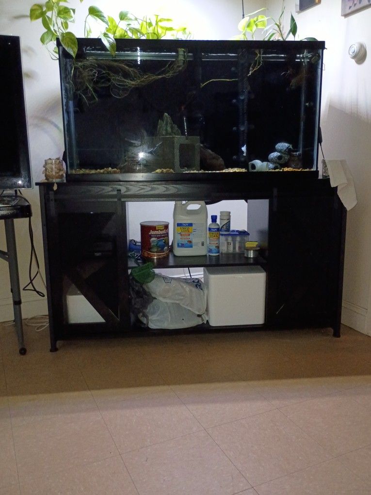 Stand