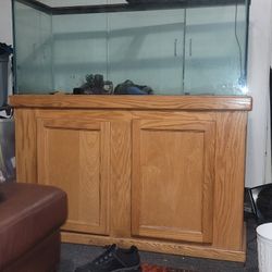 60 Gallon Fish Tank 