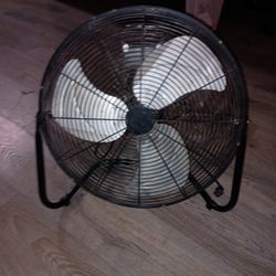 Fan