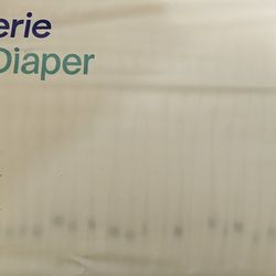 Coterie Disposable Diapers