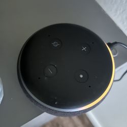Echo Dot 