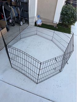 Playpen dog