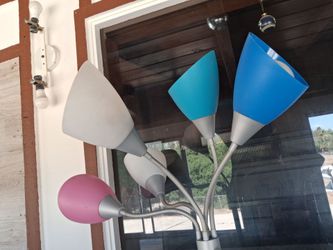 Multicolored adjustable light