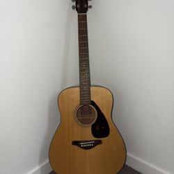 Acoustic Guitar  