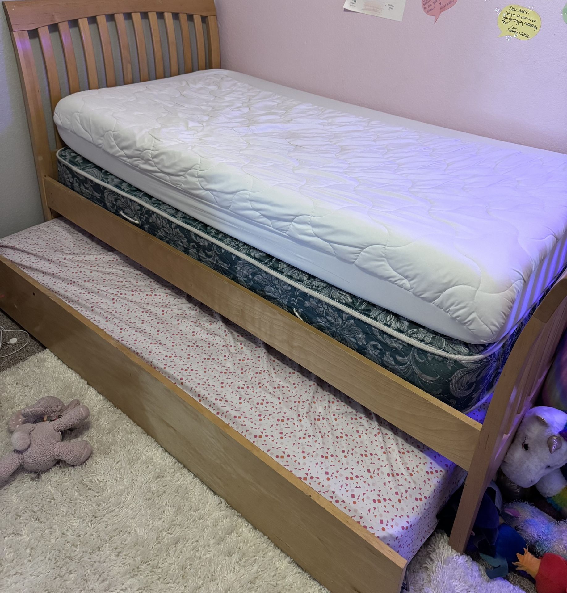 Kids Twin Trundle Bed