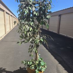 Artificial/Fake Plant