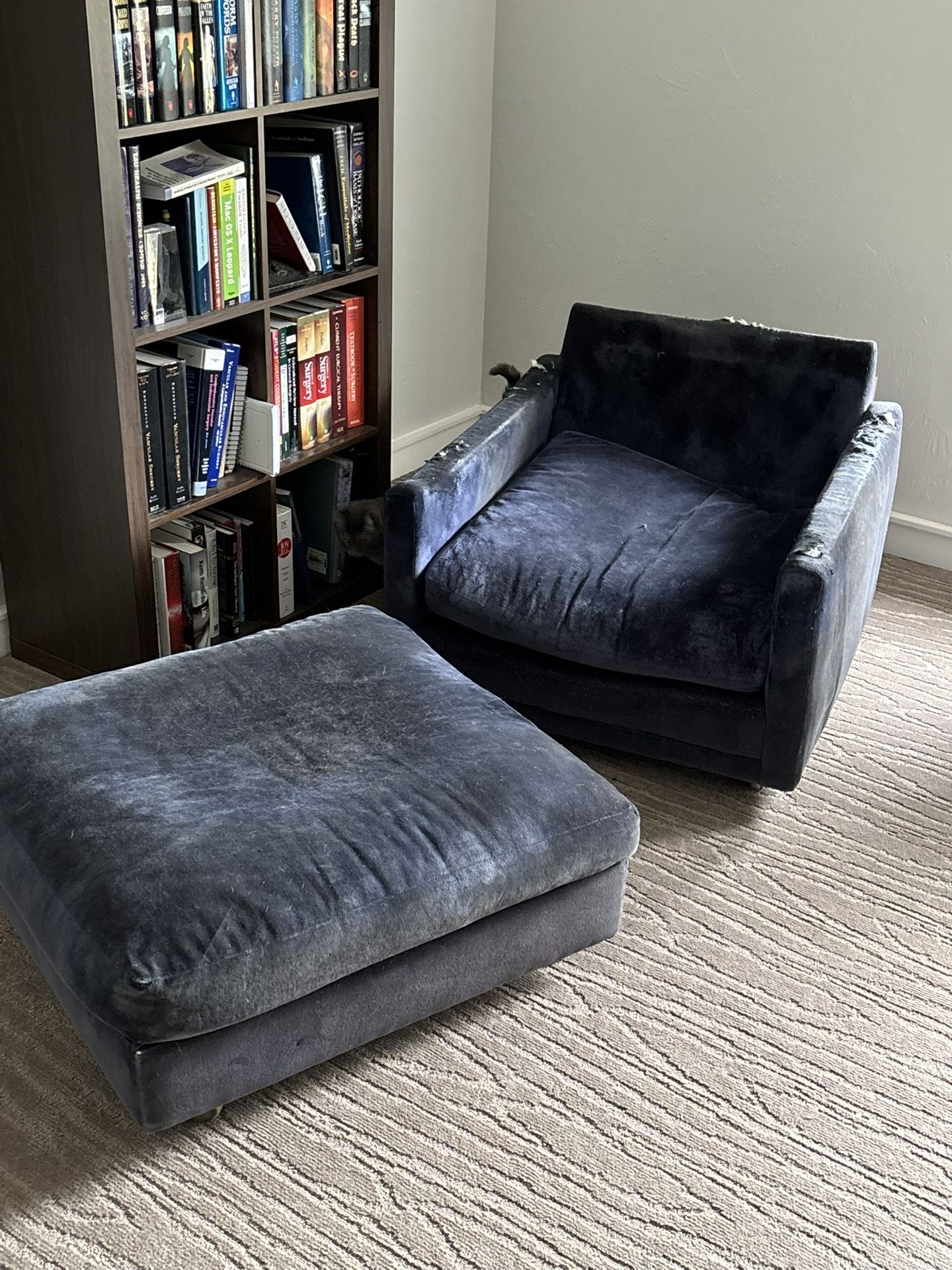 Herman Miller Chair And Ottoman