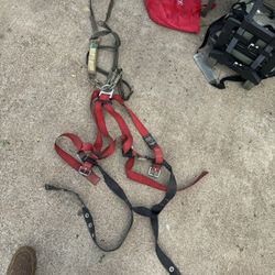 Safety Harness 