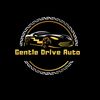 Gentle Drive Auto Group LLC
